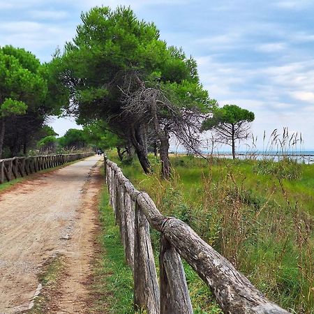 Beautiful Apartment Close To Bibione Beach - Beahost Dış mekan fotoğraf