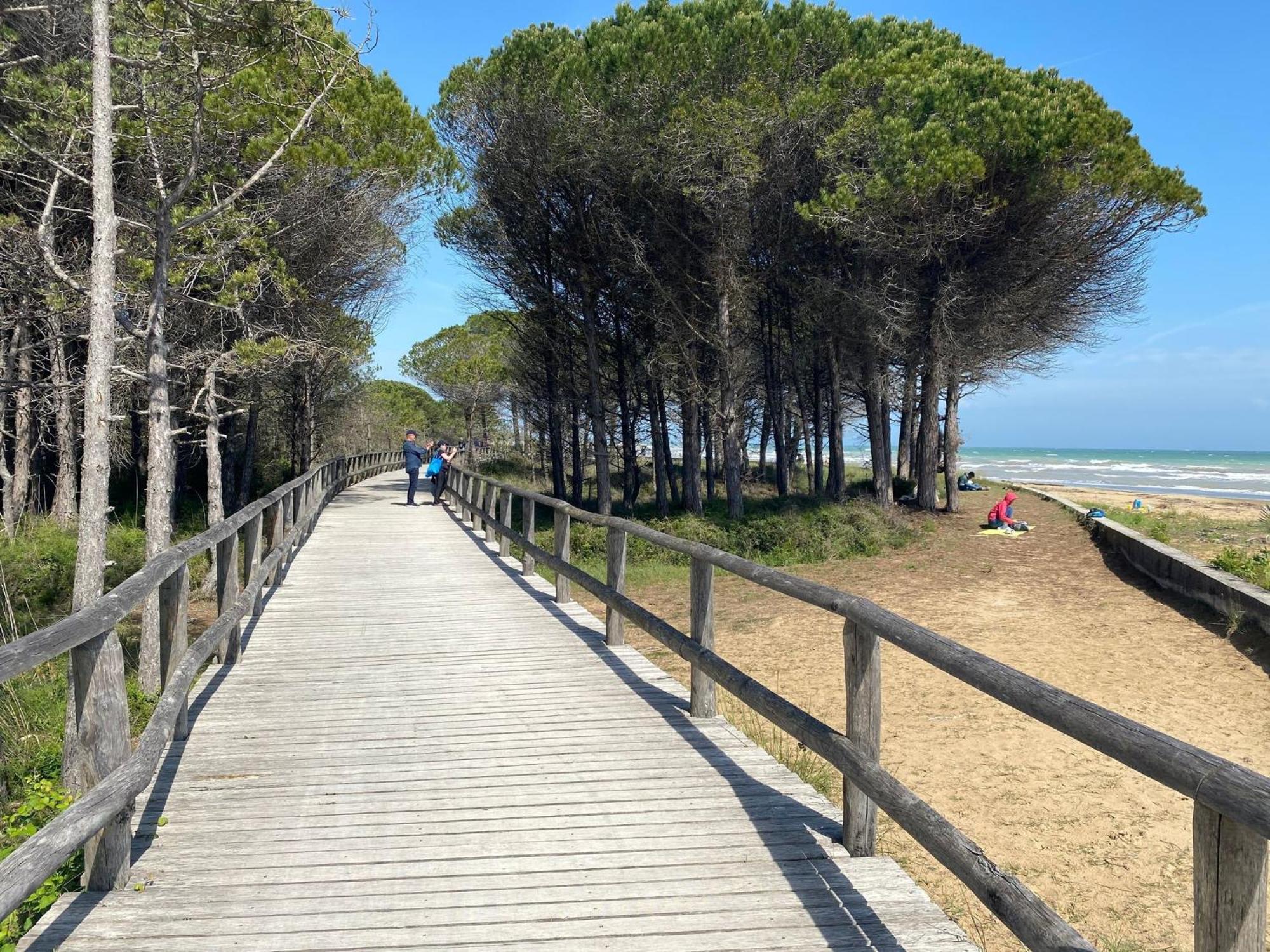 Beautiful Apartment Close To Bibione Beach - Beahost Dış mekan fotoğraf